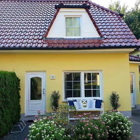 Villa Am Deich 43 Ostseeheilbad Ostseeheilbad Zingst Exterior foto